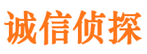 冷湖市调查公司